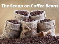 The Scoop on Coffee Beans