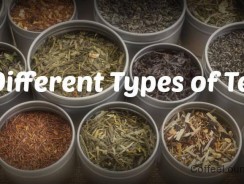 Different Types of Tea